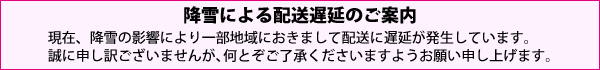 現在、降雪の影響により一部地域におきまして配送に遅延が発生しています。